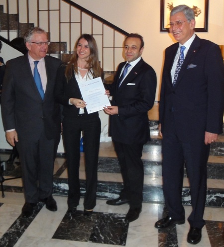 How to Work with Brussels