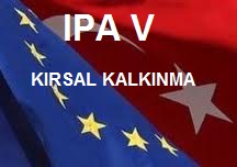IPA V IPA V